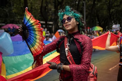 Este año se definió el lema de la marcha como “Diversidad sin fronteras. ¡Justicia, resistencia y unidad!”