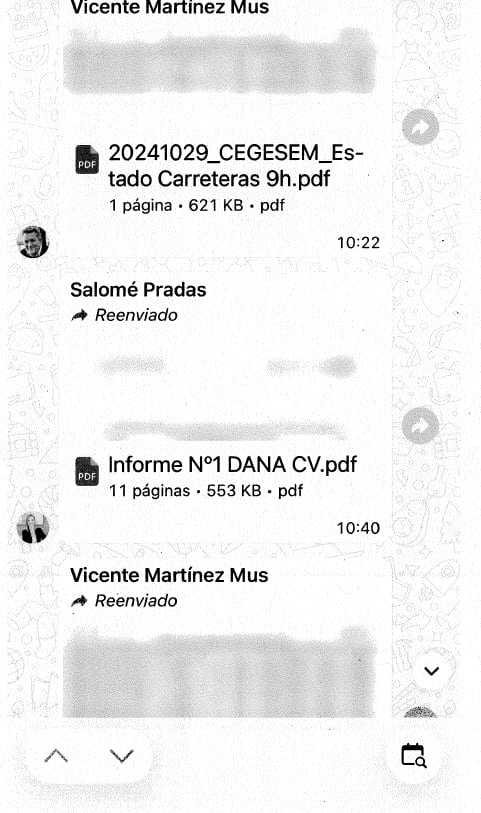 Captura de un mensaje de WhatsApp enviado por Salomé Pradas el día de la dana.