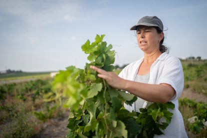 La sumiller Marta García, con los viñedos de su bodega en Movimiento.