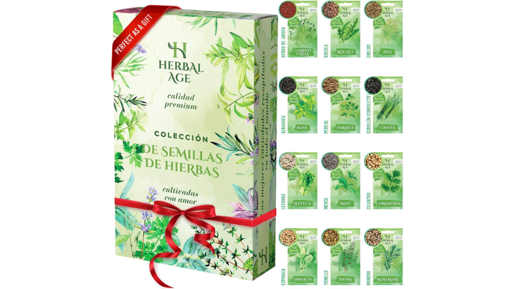 Oferta Especial