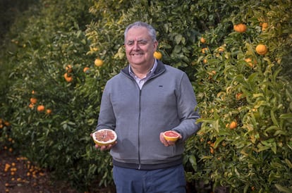 Biologist Manuel Talón with a grapefruit at the Valencian Institute of Agricultural Research in 2018.