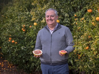 Biologist Manuel Talón with a grapefruit at the Valencian Institute of Agricultural Research in 2018.