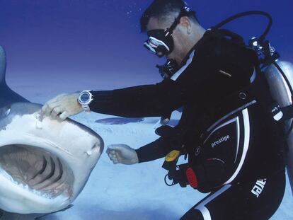 El hombre que juega con los tiburones