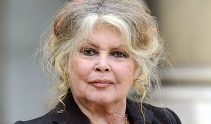 Brigitte Bardot en el Palacio del Elíseo de París, tras una reunión con el presidente Macron.