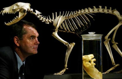 Michael Archer, del Museo de Australia, y un feto y esqueleto de tigre de Tasmania.