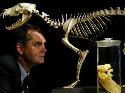 Michael Archer, del Museo de Australia, y un feto y esqueleto de tigre de Tasmania.