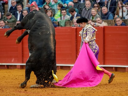 El torero Ginés Marín, junto al sexto toro de la corrida del pasado martes en Sevilla.