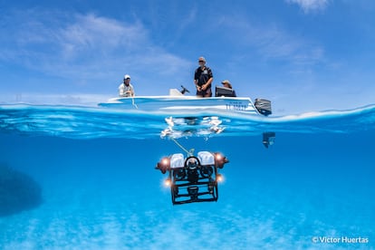 The winner of the Research in Action category shows researchers from the Hoey Reef Ecology Laboratory (Australia) as they deploy a remotely operated submarine at Diamond Reef within the Coral Sea Marine Park. The vehicle, equipped with multiple photo and video cameras, is a vital tool that allows research to be conducted at depths beyond the reach of divers. As a result, the team has discovered new species on reefs where they had not yet been documented.