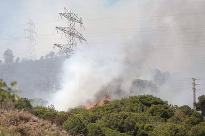 Incendio en Collserola (Barcelona).