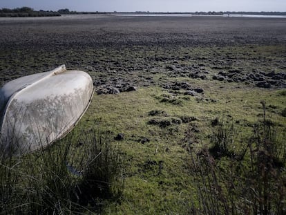 Las lagunas desaparecen de Doñana