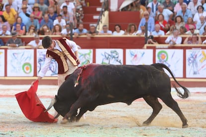 El toro 'Guineo' embiste humillado a la muleta de Esaú Fernández.