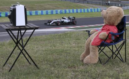 El piloto alemán Nico Rosberg, al volante de su Mercedes, mientras un peluche está sentado en una silla durante la segunda sesión de entrenamientos libres del Gran Premio de Hungría en Budapest.