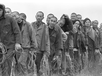 Presos chinos regresaban a sus celdas en la cárcel de Jiangbei tras trabajar durante el día en la recogida de algodón, en 1998 en la provincia de Hubei.