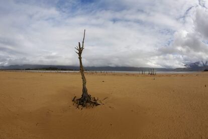 En la imagen, aspecto desértico en la presa de Theewaterskloof, en Villiersdorp (Sudáfrica). La presa es la más grande de las que suministra agua a la metrópoli de Ciudad del Cabo. Los últimos datos registrados indican que la presa se encuentra al 32% de su capacidad, nivel que se espera que descienda aún más en los próximos meses. Los expertos han advertido de que Ciudad del Cabo tan solo cuenta con una reserva de agua para 100 días.