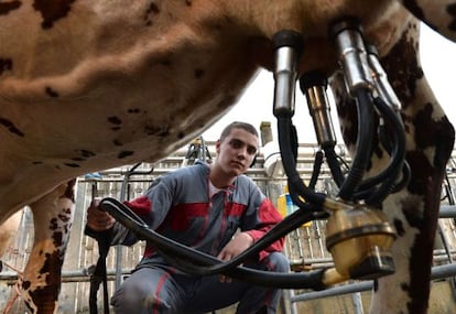 Um trabalhador ordenha uma vaca na Fran&ccedil;a. 