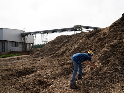 Un trabajador recoge astillas de madera en Fenirol, una planta de biomasa en Tacuarembó (Uruguay).