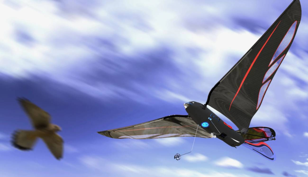 ¿Un dron que es un pájaro biónico? Así es el proyecto que arrasa en Kickstarter