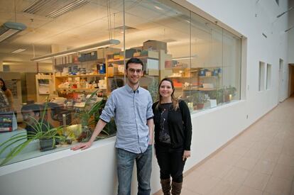 Abajo, los neurocientíficos Vicky Puig y Miquel Bosch, en el Picower Institute for Learn and Memory (MIT), donde se busca cura al alzhéimer.