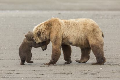 'Bear hug'.