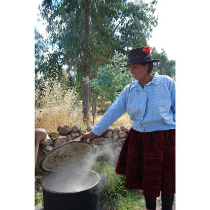 Familias enteras, en Perú y Bolivia, participan de la cosecha de la quinua. Es un recurso familiar ahora más valorado en el mercado, pero menos consumido en los hogares más modestos.