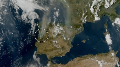 El humo de los incendios visto con satélites: alcanzó tres países con emisiones récord