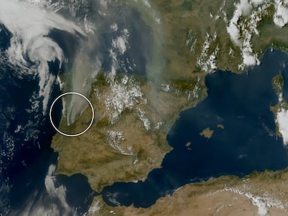 El humo de los incendios visto con satélites: alcanzó tres países con emisiones récord