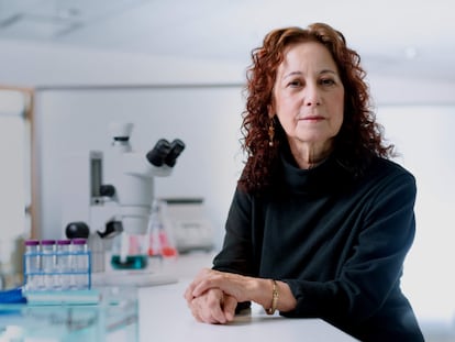 Judith Campisi, en su laboratorio de senescencia celular del Instituto Buck para la investigación sobre el envejecimiento.