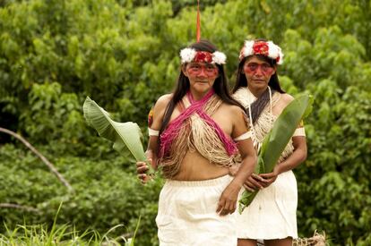 Waakiwingui es la palabra que representa paz en wao. Las mujeres Waorani son precursoras de la paz dentro de los territorios que yacen en el Yasuní. A través de sus proyectos logran subsistir como pueblo y empoderarse para llevar a cabo su lucha como pueblo. Además, son sus cantos, bailes y palabras los que conmueven a muchos y crean conciencia sobre cómo proteger y respetar a todos aquellos que habitan la selva profunda del Ecuador. 