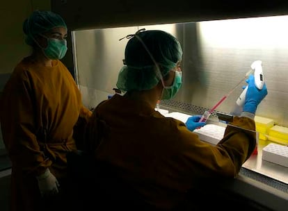 Laboratorio de investigación con células madre del Centro de Medicina Regenerativa de Barcelona.