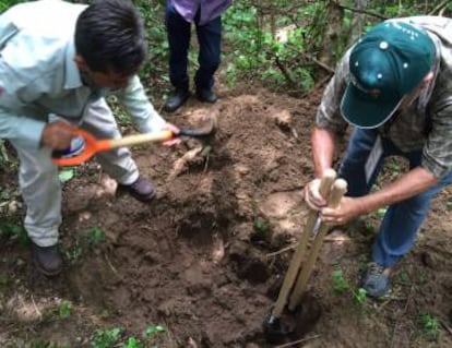 Familiares de desaparecidos cavan una fosa en el rancho.