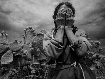 A esta receta contra el hambre le faltan fondos y atención a los rezagados y le sobran azúcar y huracanes