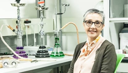 Najat Saliba, química analítica y atmosférica premio L’Oréal-Unesco For Women in Science por África y Países Árabes.