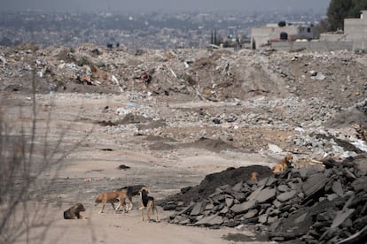 Aspecto del basurero en la comunidad de Villas de San Agustín, en el municipio de Chimalhuacán, en el oriente del Estado de México