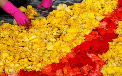 Un jardinero arregla flores en el gran tapiz floral instalado en la Grand Place de Bruselas (Bélgica).