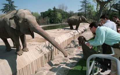 Una niña da de comer a un elefante en el Zoo de Madrid.