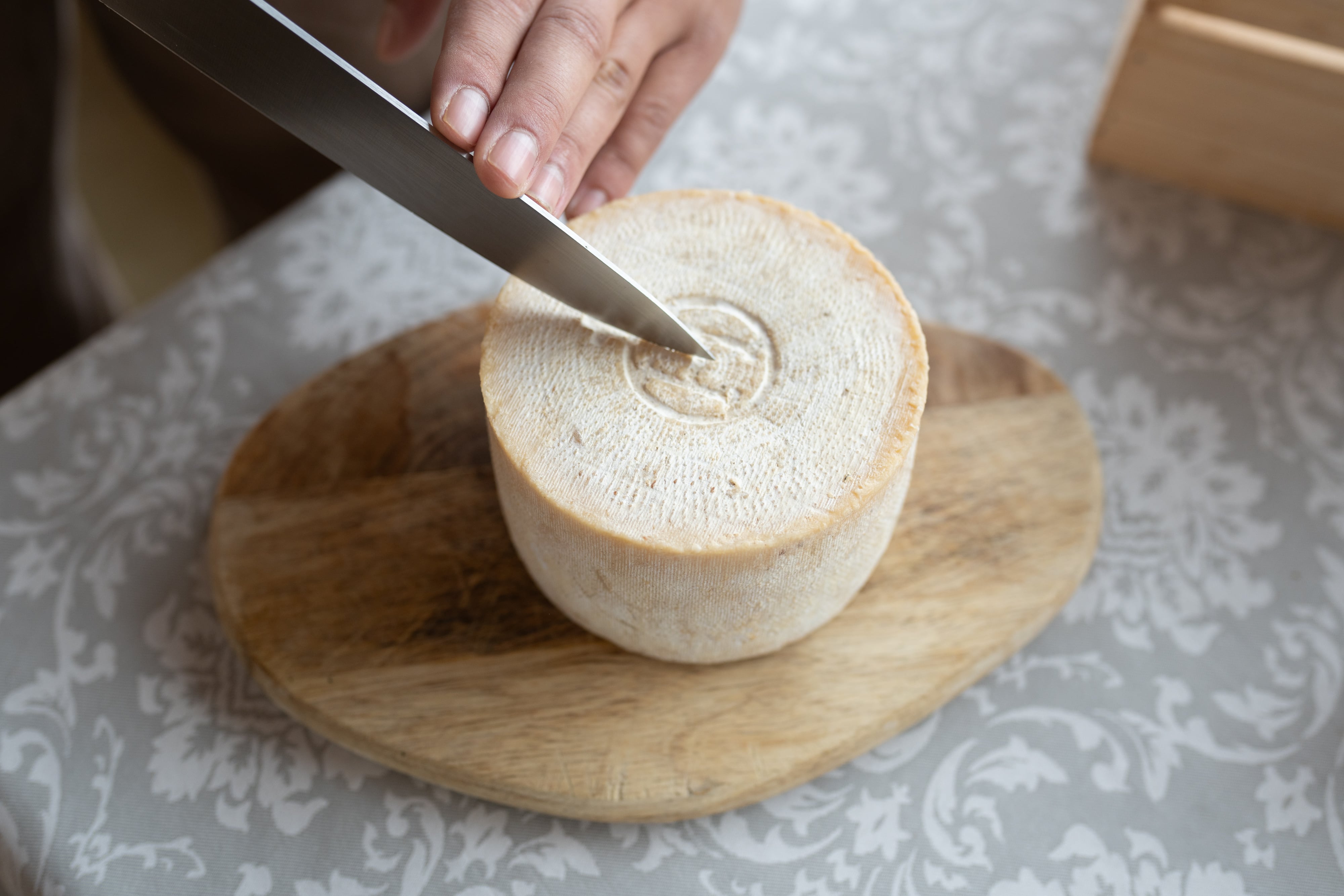 El único queso de leche de burra en España: un exclusivo manjar para salvar una raza del peligro de extinción