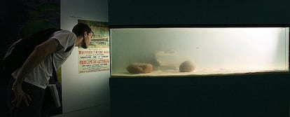 Un chico observa una maqueta de la exposición de la historia del barco Príncipe de Asturias que se ha inaugurado en Sao Paulo