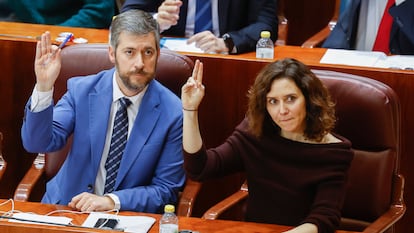 La presidenta de la Comunidad de Madrid, Isabel Diíaz Ayuso y el diputado del PP Miguel Ángel García durante el pleno extraordinario de la Asamblea de Madrid en diciembre en el que se votaron  los nuevos reglamentos de la Cámara de Cuentas, Telemadrid y el Consejo de Transparencia.