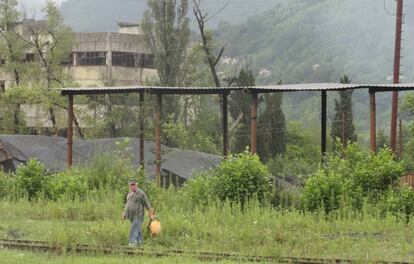 Un hombre recolecta moras en el entorno de la vía del tren de Akarmara.