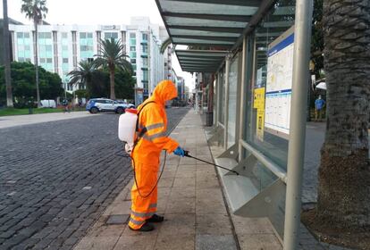 Personal de limpieza desinfecta una parada de autobús en Las Palmas de Gran Canaria.