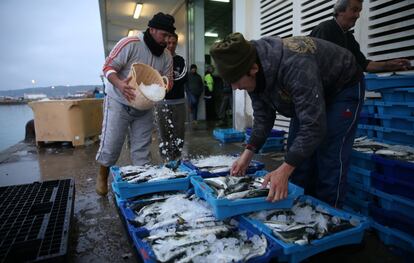 Empleados de la lonja cubren de hielo las cajas de pescado