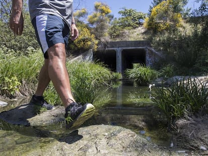 Arroyo del Plantío, en el que supuestamente se vierten aguas fecales de forma ilegal. 