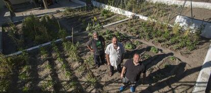 Un huerto urbano en Jaén.