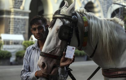 HO10 BOMBAY (INDIA) 19/03/2016.- Un cochero muestra su licencia junto a su carruaje victoria cerca del Taj Mahal Palace Hotel en Bombay (India) el 23 de abril de 2016. Los coches de caballos victoria ya llevan desaparecidos de las calles de Bombay un año. La conocida atracción turística fue prohibida por el Tribunal Supremo de Bombay en junio de 2015, en defensa de los animales y de acuerdo con la Ley de Prevención de Crueldad a los Animales. Estos vehículos aparecieron en la época de la reina Victoria, un remanente de la época colonial británica. Estos coloridos carruajes se utilizaban para recorrer pequeñas distancias principalmente del Taj Mahal Palace hotel o el Trident Hotel a la Puerta de la India. EFE/Divyakant Solanki