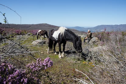 Lucy Rees posa junto a dos caballos en un campo del Valle del Jerte en Extremadura