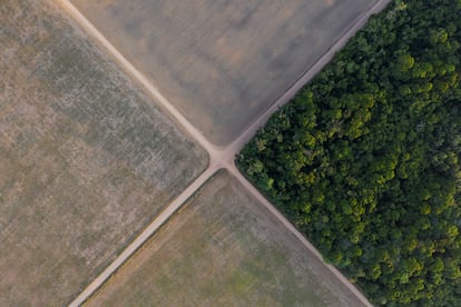 Vista de un trozo de selva amazónica junto a campos de soja, en el estado de Pará (Brasil), en noviembre de 2019.