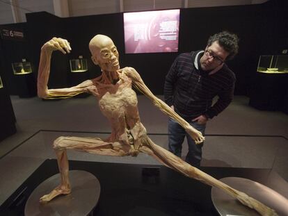 Recorrido de plasma y músculo a través de diez cuerpos humanos