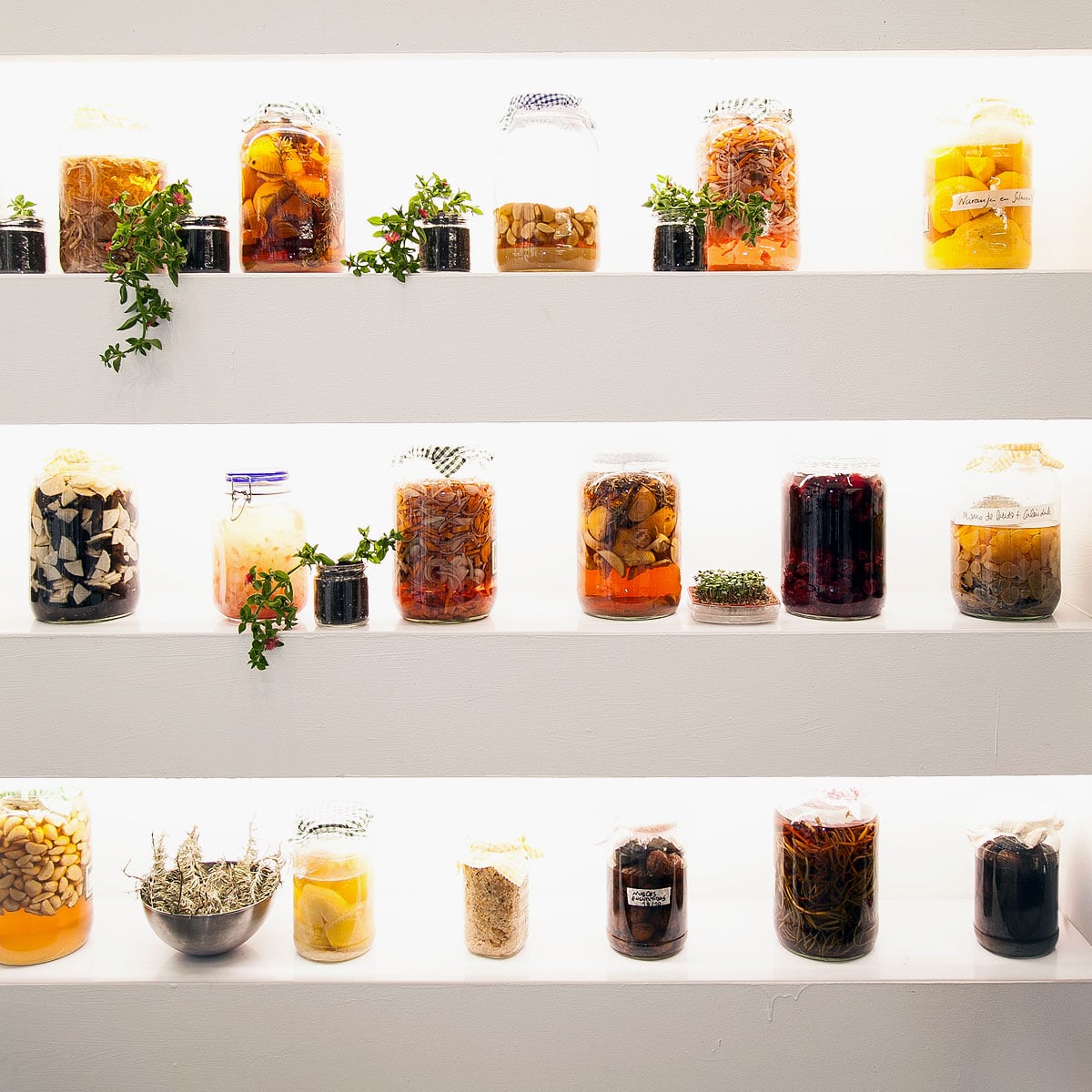 Cinque colmados consigliati per arricchire la dispensa nel 2026