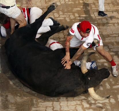 Un toro de la ganadería extremeña cae sobre varios mozos en el callejón de la Plaza de Toros de Pamplona.