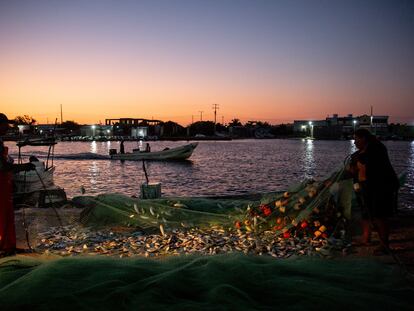 Pescadores de Celestún (Yucatán) revisan sus redes durante el inicio de su jornada laboral, el 4 de abril de este año.